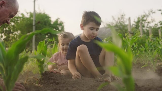Brother and sister playing together in the garden, covering their feet with earth. Toddlers playing carefree in the rural garden. Leisure activities outdoor in