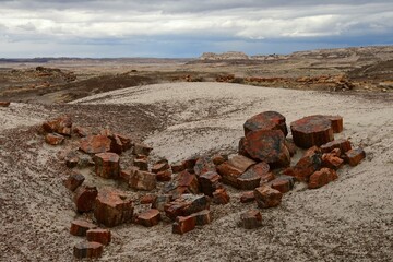 ancient petrified wood segments  along the crystal forest trail in petrified forest national park,...