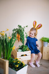 Cute little child girl wearing bunny ears holding fresh bunch of carrots