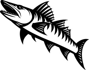 Barracuda Fish
