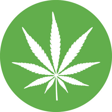 Cannabis marijuana hemp logo. Isolated hemp on white background