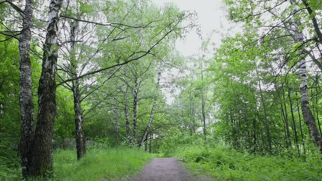 Young man runs and jumps out of frame, at summer day in park