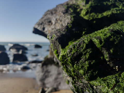 Rocks on the beach in San Francisco.