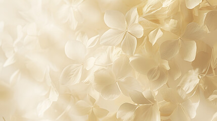 Beautiful flower blossom pale background wallpaper for text and presentations, flower texture, floral design, pale colored background wallpaper for presentation