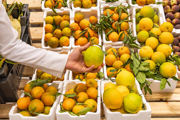 Fresh oranges at a market in Buraydah.