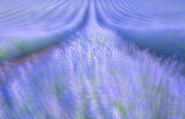 Abstract blue and purple textured background