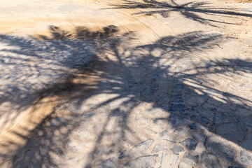 Fototapeta na wymiar Shadow of a palm tree on a road in the port city of Duba.