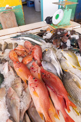 Fresh fish on ice at a market in the port city of Duba.
