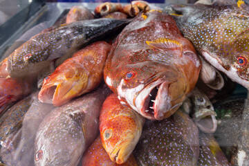 Fresh fish at a market in the port city of Duba.