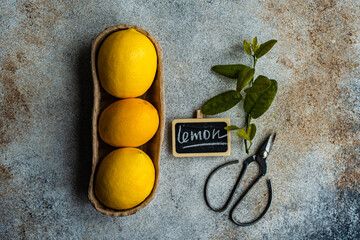 Fresh lemons with leaves and vintage scissors on rustic background