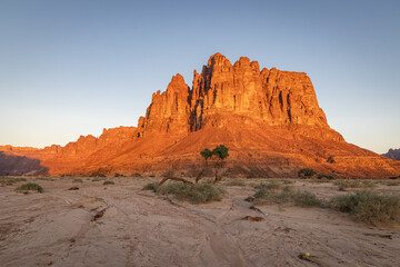 Desert landscape in the Prince Mohammed bin Salman Natural Reserve.