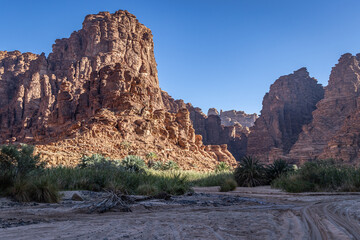 Wadi Al-Disha, known as the Grand Canyon of Saudi Arabia and the Valley of the Palms.