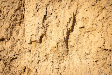 brown earth background in nature