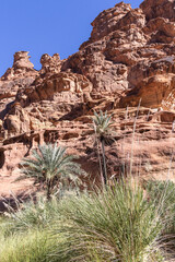 Wadi Al-Disha, known as the Grand Canyon of Saudi Arabia and the Valley of the Palms.