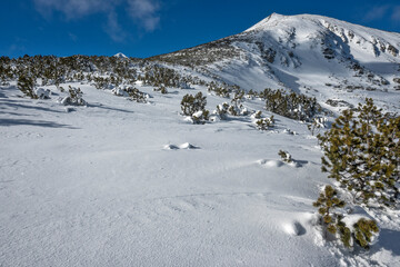 Fototapeta na wymiar Winter view of Pirin Mountain near Bezbog Peak, Bulgaria