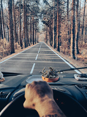 One man pov or his hands driving a vehicle on a long scenic trees asphalt road. Traveling and...