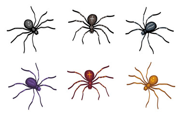 Vector illustration of spiders isolated on a white background.