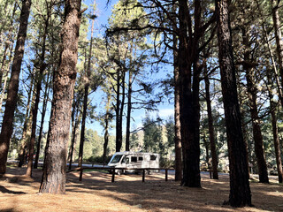 Modern motorhome camper van rv vehicle parking in the outdoors nature park with high scenic trees...