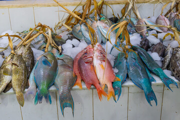 Colorful fresh fish at a market in Medina.