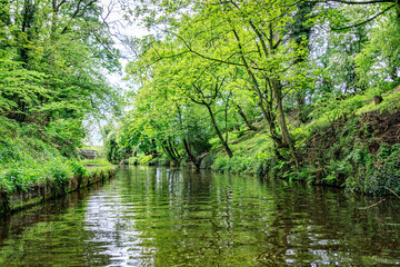 Tranquil Moments on the Llangollen Canal, Wales