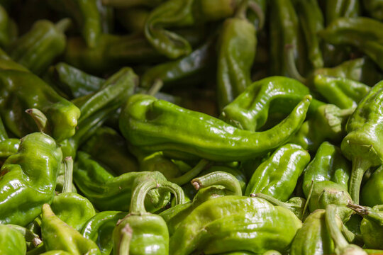 Gr&uuml;ne Pepperoncini, Italien