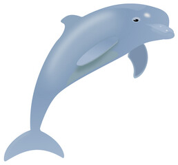 happy dolphin isolated on transparent vector