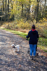 Fototapeta premium Fashionable older woman wearing a scarf and sweatshirt on a asphalt path walking three dogs