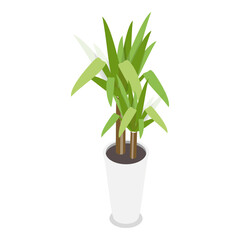 3D Isometric Flat Vector Set of Houseplants, Different Indoor Plants. Item 2