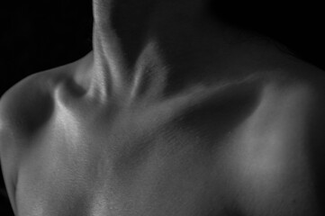 female neck and shoulders