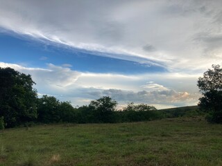 Fototapeta premium Lindo atardecer con nubes, arboles y cielo azul
