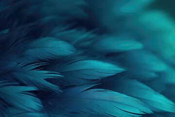 Beautiful closeup feather background in dark turquoise blue and teal colors. Macro texture of colorful fluffy feathers from tropical bird. Minimal abstract pattern with copy space