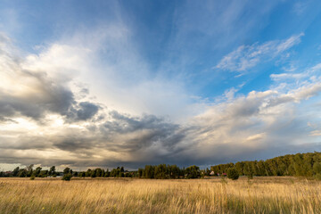 rural landscape with meadow grasses, with thunderclouds overhead on a summer evening