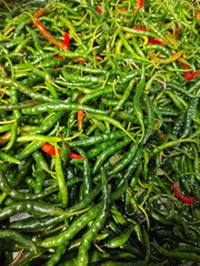 fresh chili peppers 