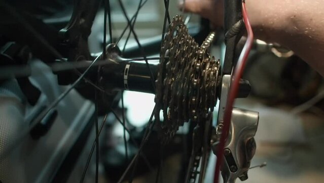 Closeup view: Bicycle repair, bike chain inspected and cleaned in shop