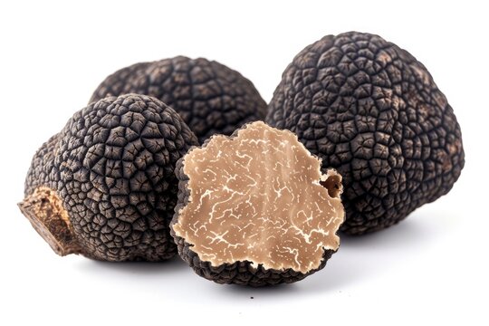 Black truffle isolated Clipping path
