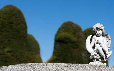 angel statue in a cemetery on a clear sky