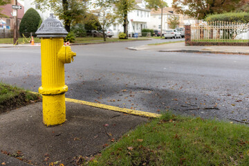 Fototapeta na wymiar yellow hydrant with green and asphalt background