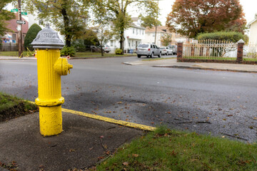 yellow hydrant with green and asphalt background