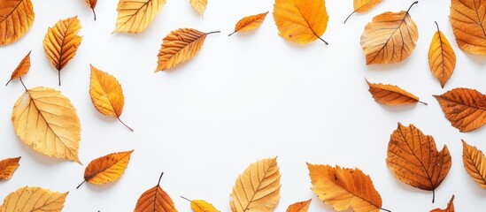 Autumn-themed frame with golden leaves on white background, top view.