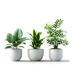Trio of Potted Plants Isolated Design png file of isolated cutout object with shadow on transparent background.