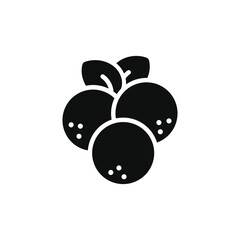 Longan icon isolated on transparent background