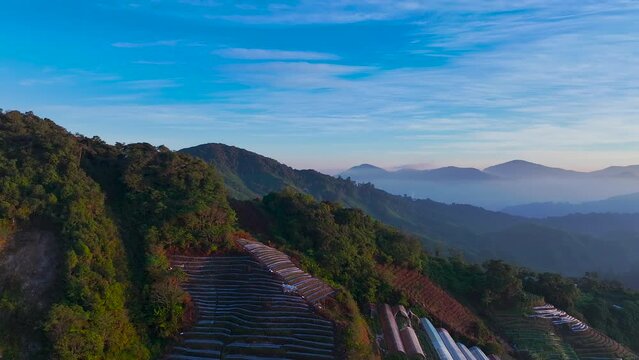 Aerial hyperlapse shot of a tea valley overlooking on the mountain in Cameron Highlands, Malaysia during beautiful sunrise. 