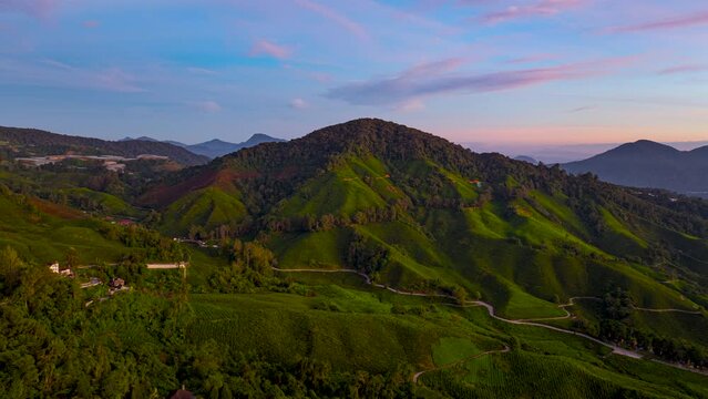 Aerial hyperlapse shot of a tea valley overlooking on the mountain in Cameron Highlands, Malaysia during beautiful sunrise. 