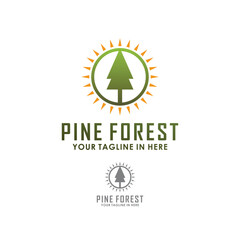 pine vintage logo design concept, nature logo inspiration