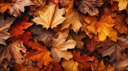  Natures quilt of autumn foliage,  forming a cozy and textured background for your device