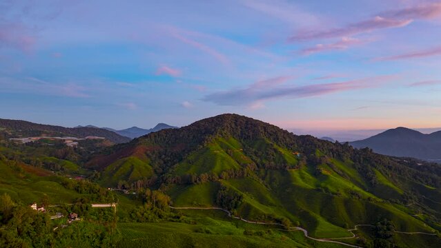 Aerial hyperlapse shot of a tea valley overlooking on the mountain in Cameron Highlands, Malaysia during beautiful sunrise. 