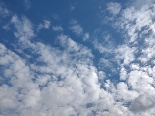 東京のそら(24.2.8)