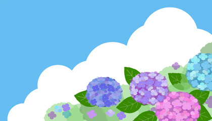 vector background image of colorful hydrangea flowers  with blue sky