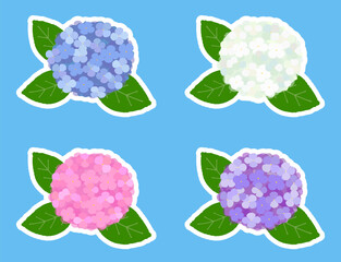 vector icon set of colorful hydrangea with leaves