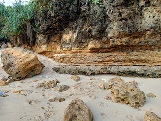 Step into Paradise with the Pristine White Sands of the Beach. 